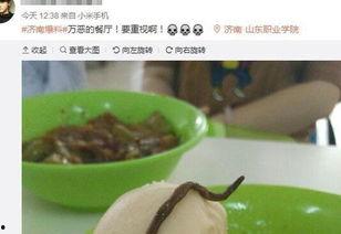 最新新康饭菜爆料图片,最新爆料图片曝光,美味与营养并存!” 第2张 最新新康饭菜爆料图片,最新爆料图片曝光,美味与营养并存!” 第2张